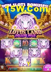 Casino Ao Vivo 79Y